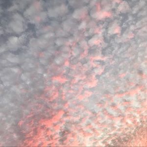 Meet your Posher, Rianne